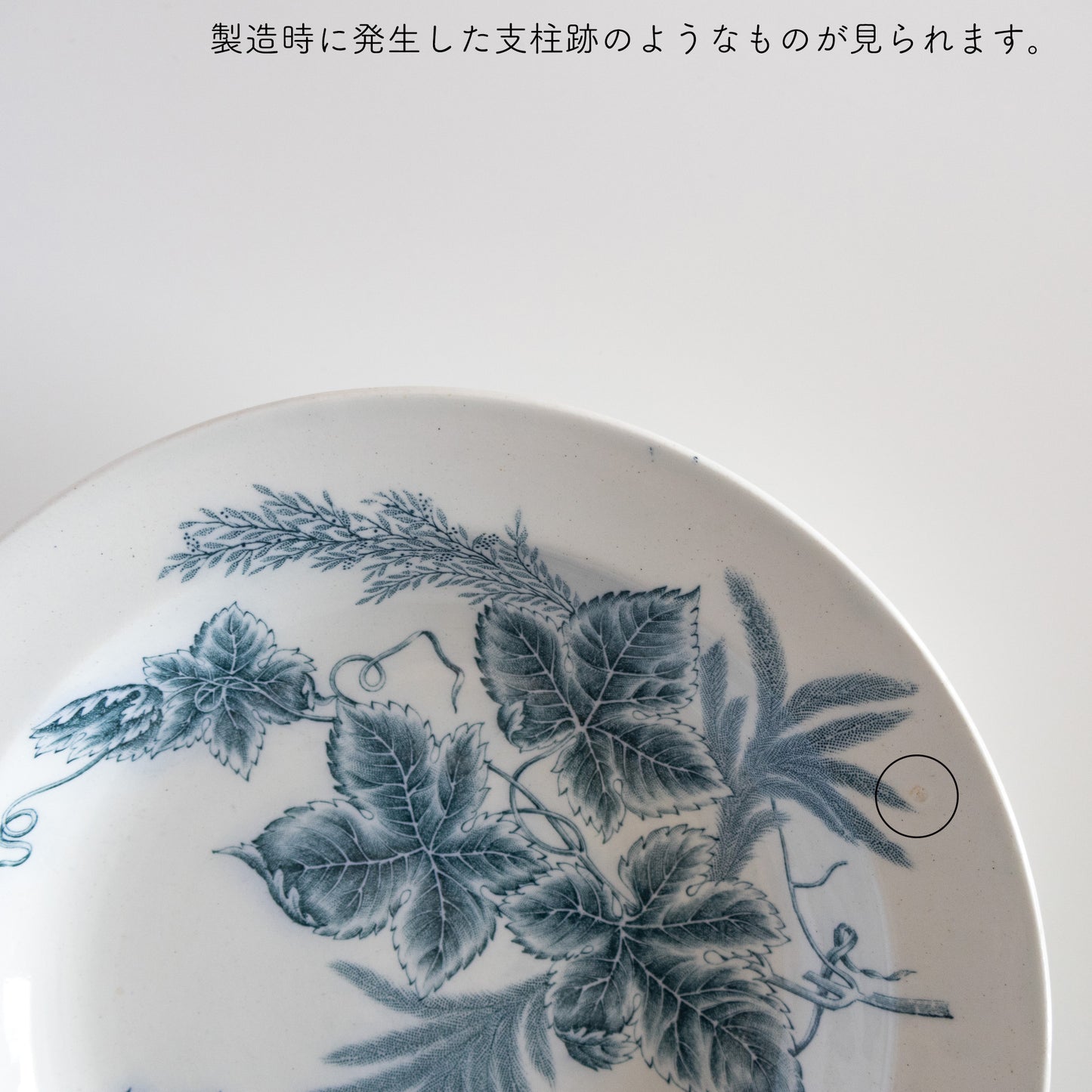 vineta (ビネタ) deep plate 22.5cm / arabia (アラビア)