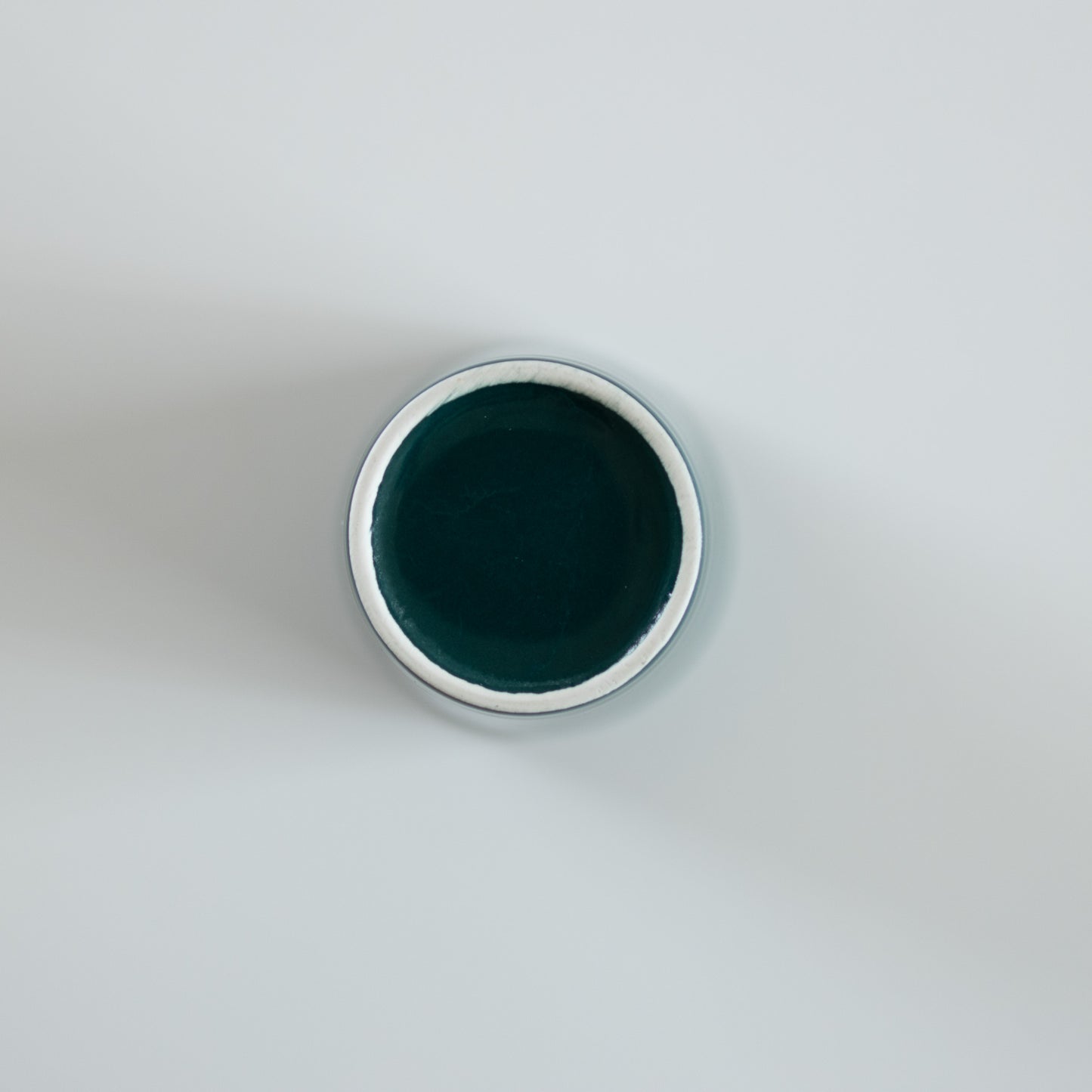 teema (ティーマ) goblet cup dark green / arabia (アラビア)